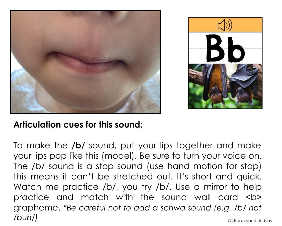 Articulation Manual & Teaching Videos