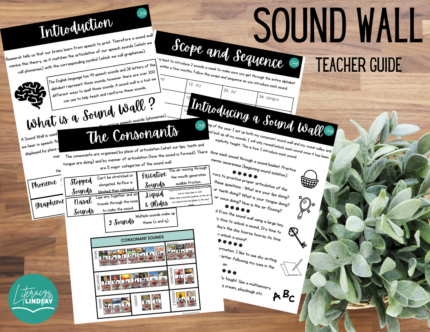 Sound Wall & TRAINING COURSE