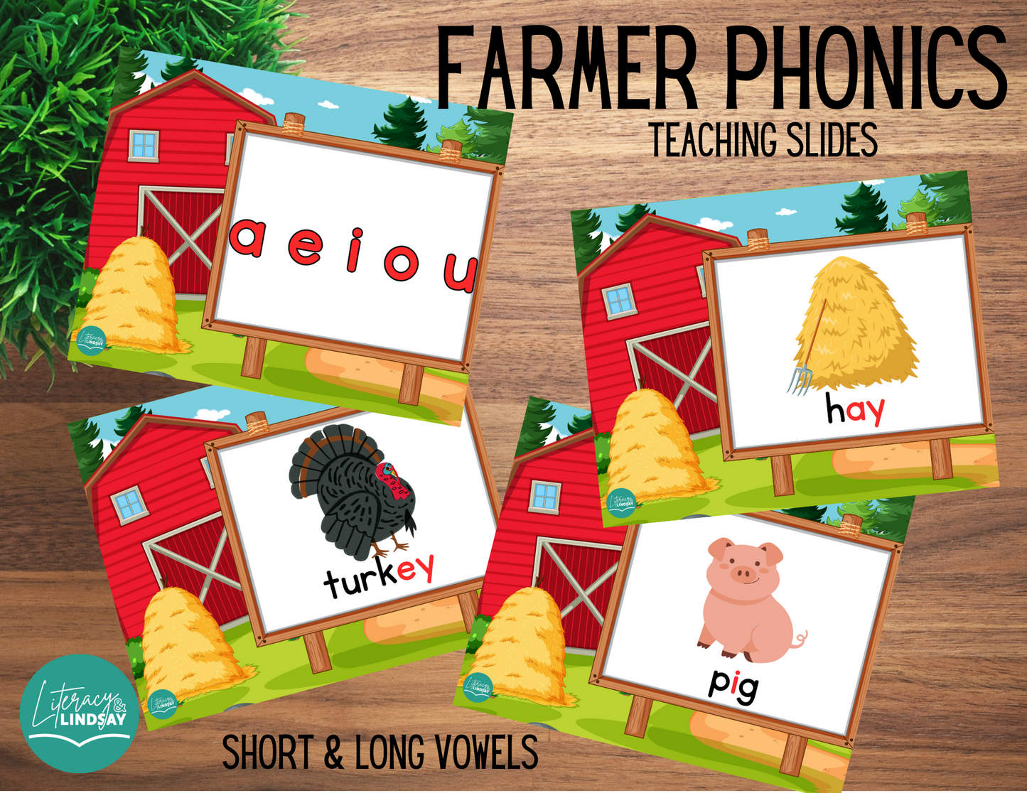 Phonemic Awareness- Teaching Slides