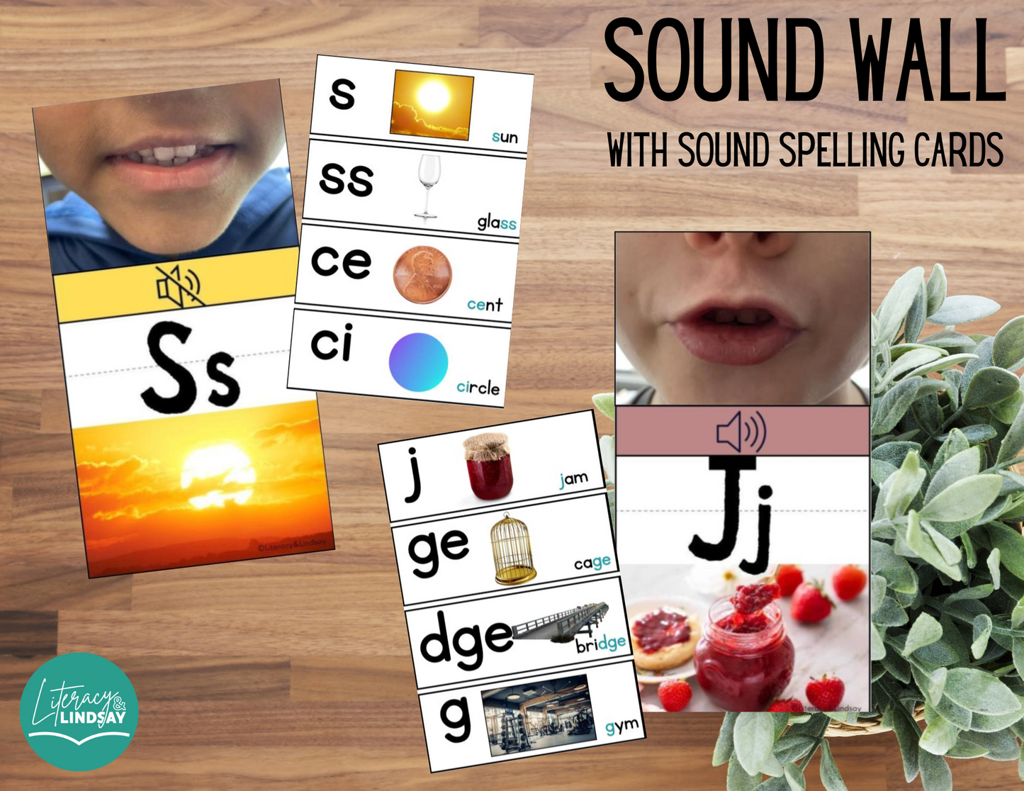 Sound Wall & TRAINING COURSE