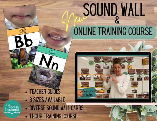 Sound Wall & TRAINING COURSE