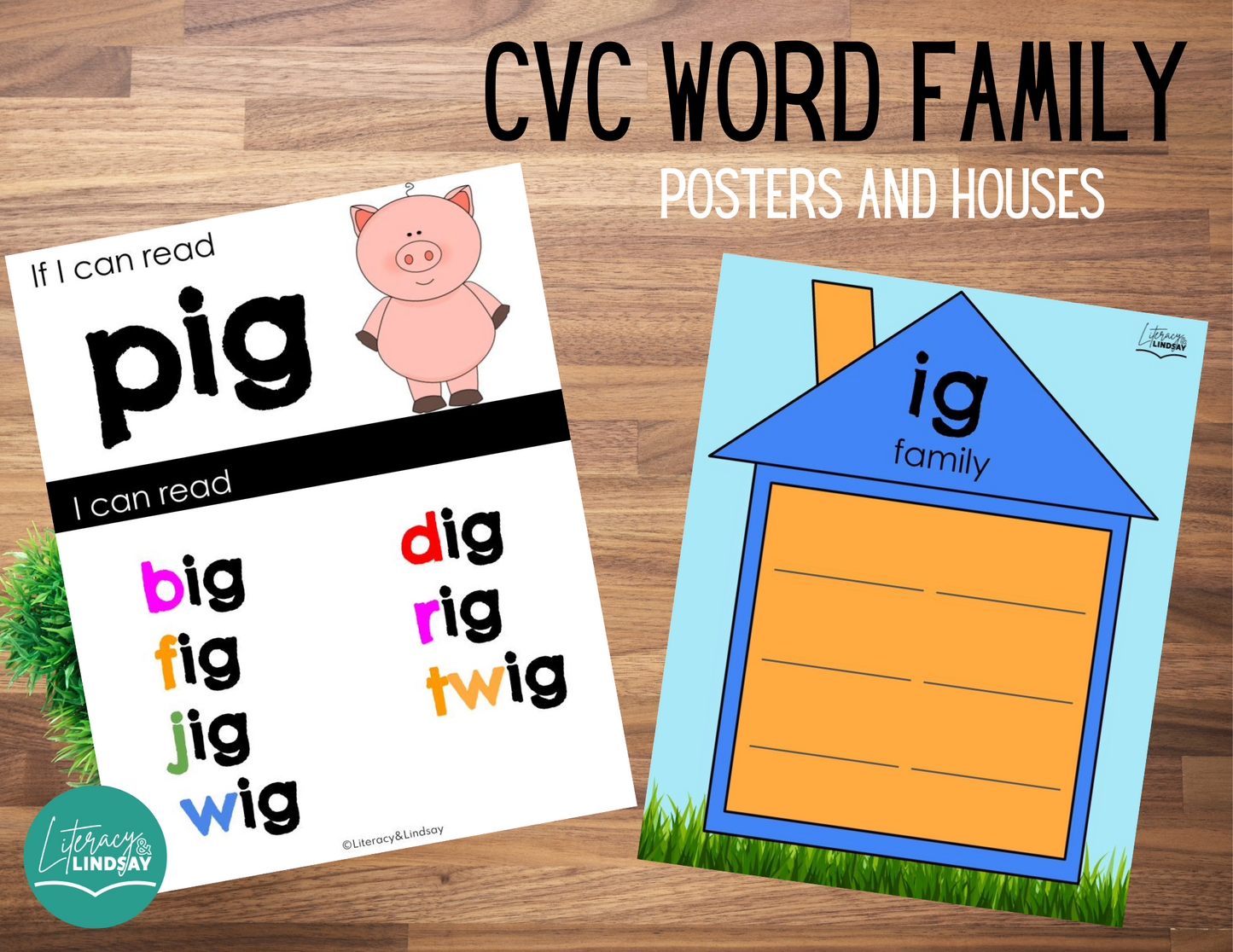 CVC Word Family Posters