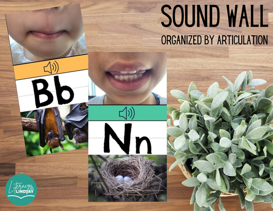 NEW Sound Wall Cards with diverse photos AND SPELLING CARDS