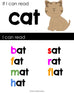 CVC Word Family Posters – Literacy and Lindsay