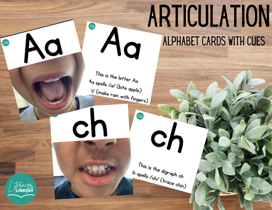 Mouth Articulation Flash Cards & INSTRUCTIONAL VIDEO