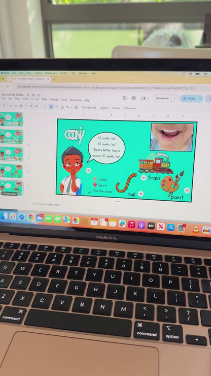 NEW Interactive Sound Wall and Teachers Manual