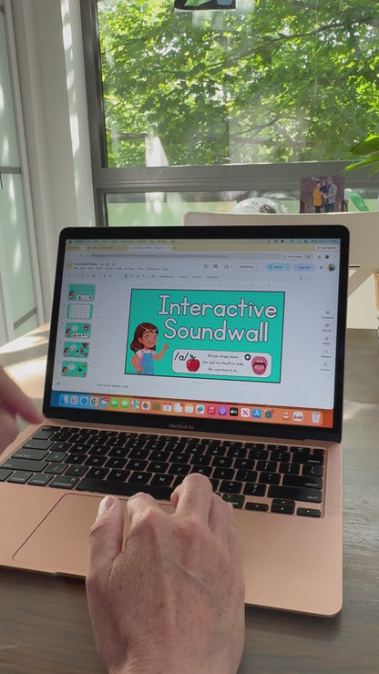 NEW Interactive Sound Wall and Teachers Manual